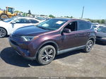 2016 Toyota Rav4 Xle Purple vin: 2T3RFREV7GW486004