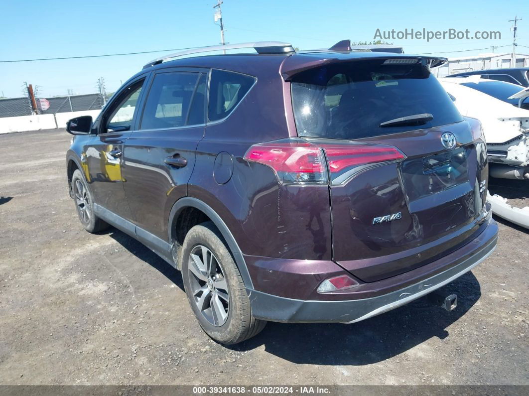 2016 Toyota Rav4 Xle Purple vin: 2T3RFREV7GW486004