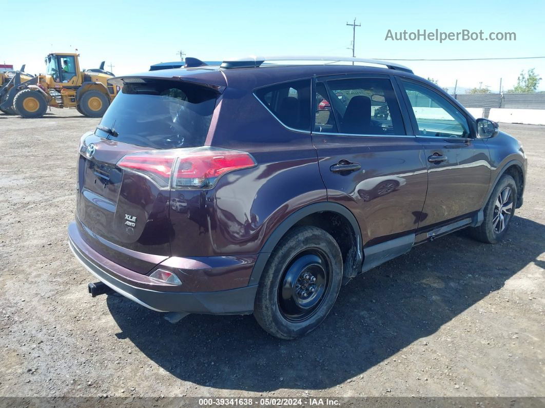 2016 Toyota Rav4 Xle Purple vin: 2T3RFREV7GW486004