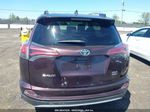 2016 Toyota Rav4 Xle Purple vin: 2T3RFREV7GW486004