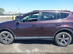 2016 Toyota Rav4 Xle Purple vin: 2T3RFREV7GW486004