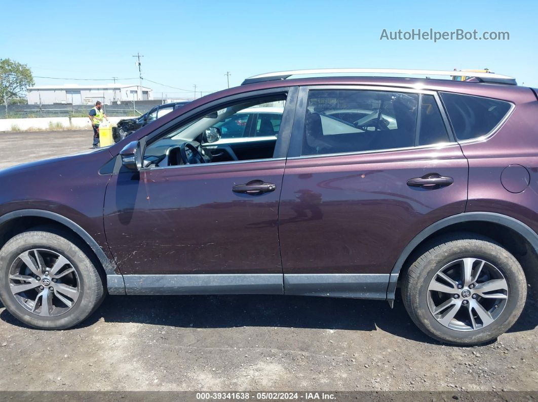 2016 Toyota Rav4 Xle Purple vin: 2T3RFREV7GW486004