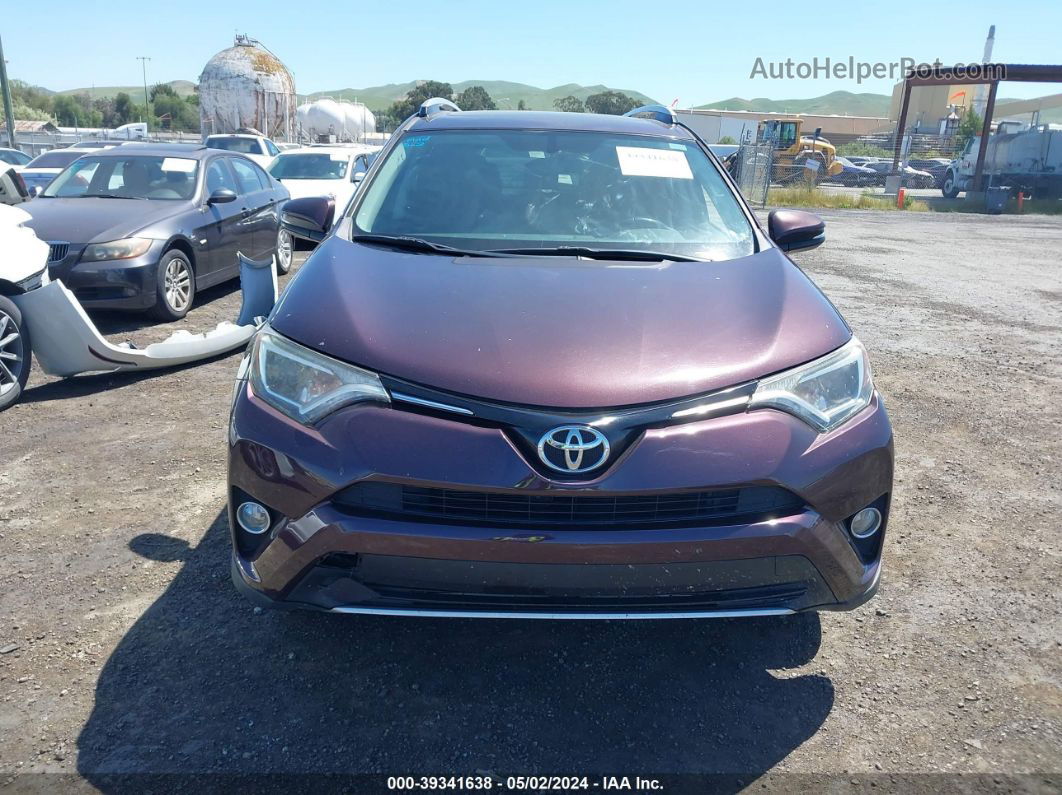 2016 Toyota Rav4 Xle Purple vin: 2T3RFREV7GW486004