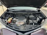 2017 Toyota Rav4 Xle Purple vin: 2T3RFREV7HW625386