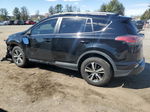 2017 Toyota Rav4 Xle Black vin: 2T3RFREV7HW677925