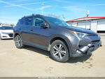 2016 Toyota Rav4 Xle Gray vin: 2T3RFREV9GW475361