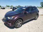 2017 Toyota Rav4 Xle Бордовый vin: 2T3RFREV9HW570763