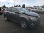 2015 Toyota Rav4 Xle Gray vin: 2T3RFREVXFW309168