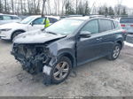 2015 Toyota Rav4 Xle Gray vin: 2T3RFREVXFW317318