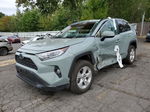 2019 Toyota Rav4 Xle Teal vin: 2T3RWRFV1KW027476