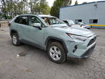 2019 Toyota Rav4 Xle Teal vin: 2T3RWRFV1KW027476