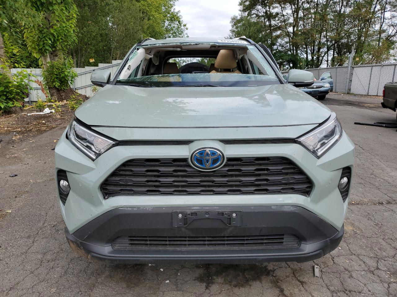 2019 Toyota Rav4 Xle Teal vin: 2T3RWRFV1KW027476