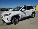 2019 Toyota Rav4 Xle White vin: 2T3RWRFV1KW045119