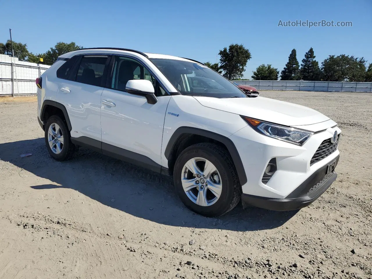 2019 Toyota Rav4 Xle White vin: 2T3RWRFV1KW045119