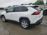 2020 Toyota Rav4 Xle White vin: 2T3RWRFV1LW056557