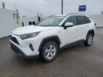 2020 Toyota Rav4 Xle Белый vin: 2T3RWRFV9LW078676