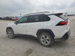 2019 Toyota Rav4 Xle White vin: 2T3RWRFVXKW043630