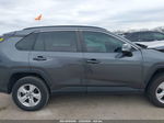 2019 Toyota Rav4 Xle Gray vin: 2T3W1RFV0KC012793