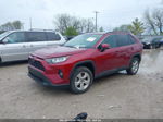 2021 Toyota Rav4 Xle Red vin: 2T3W1RFV1MW127663