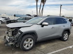 2019 Toyota Rav4 Xle Silver vin: 2T3W1RFV3KW016674