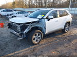 2019 Toyota Rav4 Xle White vin: 2T3W1RFV3KW032583