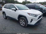 2019 Toyota Rav4 Xle Белый vin: 2T3W1RFV4KC003384