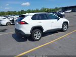 2021 Toyota Rav4 Xle White vin: 2T3W1RFV4MC135824