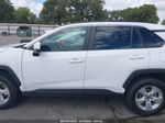 2021 Toyota Rav4 Xle White vin: 2T3W1RFV4MW119024