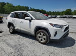 2019 Toyota Rav4 Xle White vin: 2T3W1RFV6KC013284