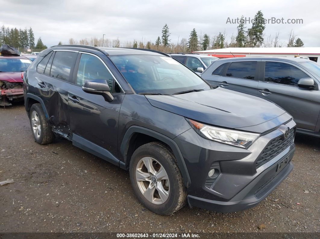 2019 Toyota Rav4 Xle Gray vin: 2T3W1RFV6KW012313