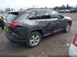 2019 Toyota Rav4 Xle Gray vin: 2T3W1RFV6KW012313