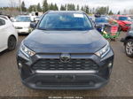 2019 Toyota Rav4 Xle Gray vin: 2T3W1RFV6KW012313