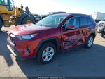 2021 Toyota Rav4 Xle Maroon vin: 2T3W1RFV6MW177846