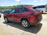 2019 Toyota Rav4 Xle Brown vin: 2T3W1RFV7KW044543