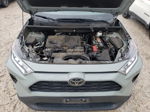 2021 Toyota Rav4 Xle Green vin: 2T3W1RFV8MC086210