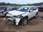 2019 Toyota Rav4 Xle White vin: 2T3W1RFVXKW009804