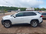 2019 Toyota Rav4 Xle White vin: 2T3W1RFVXKW009804