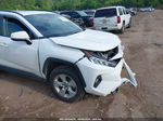 2019 Toyota Rav4 Xle White vin: 2T3W1RFVXKW009804