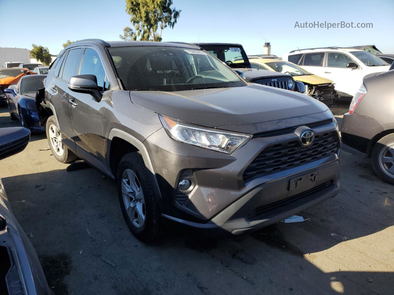 2019 Toyota Rav4 Xle Gray vin: 2T3W1RFVXKW021824