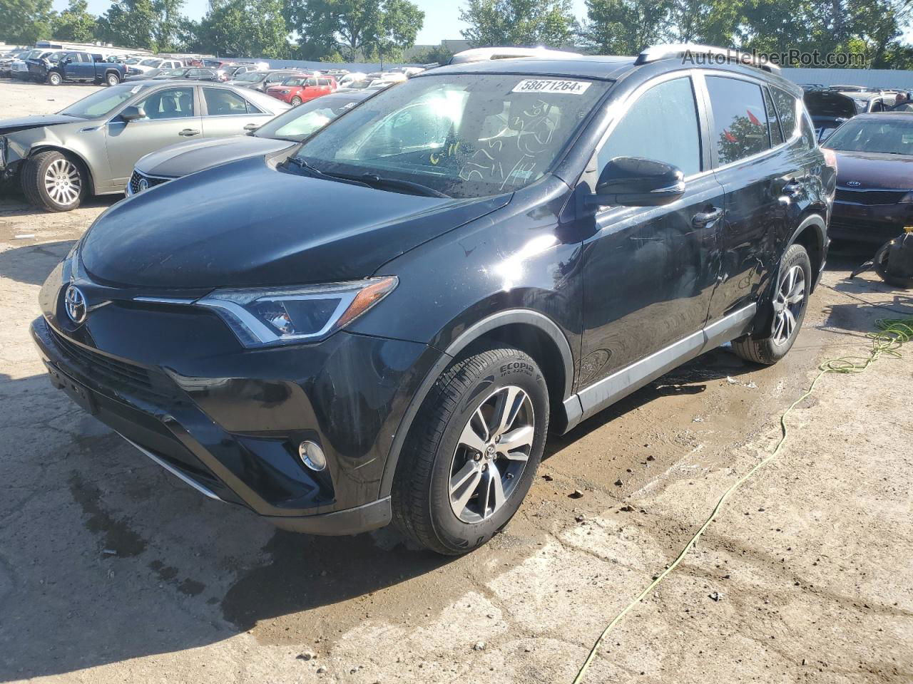 2016 Toyota Rav4 Xle Black vin: 2T3WFREV1GW303800