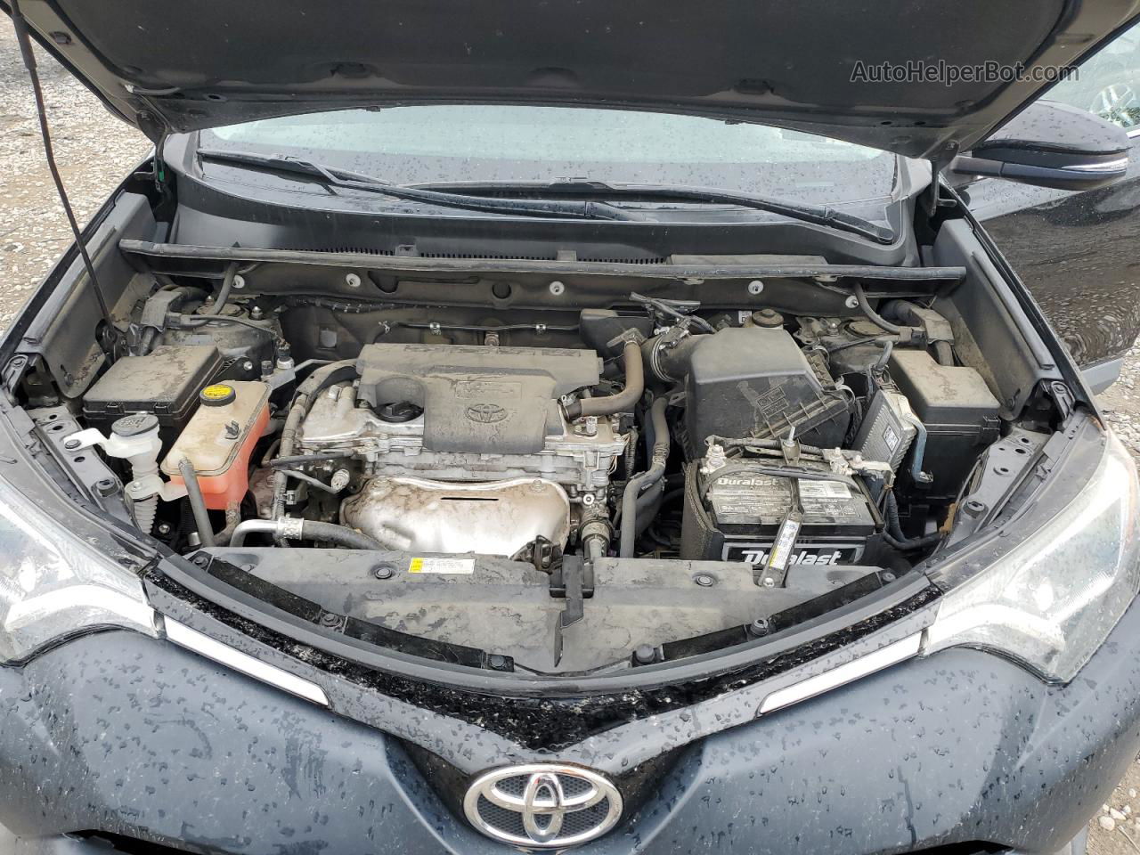 2016 Toyota Rav4 Xle Черный vin: 2T3WFREV6GW304196