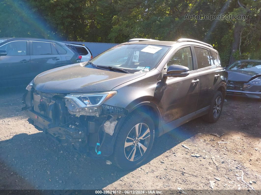 2016 Toyota Rav4 Xle Gray vin: 2T3WFREV7GW257308