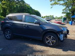 2016 Toyota Rav4 Xle Gray vin: 2T3WFREV7GW257308