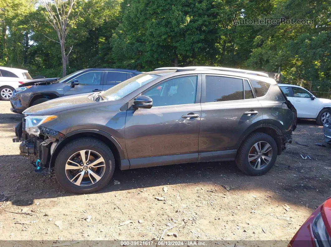 2016 Toyota Rav4 Xle Gray vin: 2T3WFREV7GW257308