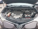 2016 Toyota Rav4 Xle Темно-бордовый vin: 2T3WFREV7GW281432