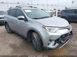 2017 Toyota Rav4 Xle Gold vin: 2T3WFREV8HW396218