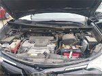 2017 Toyota Rav4 Xle Black vin: 2T3WFREV9HW317168