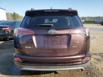 2017 Toyota Rav4 Xle Purple vin: 2T3WFREV9HW344807