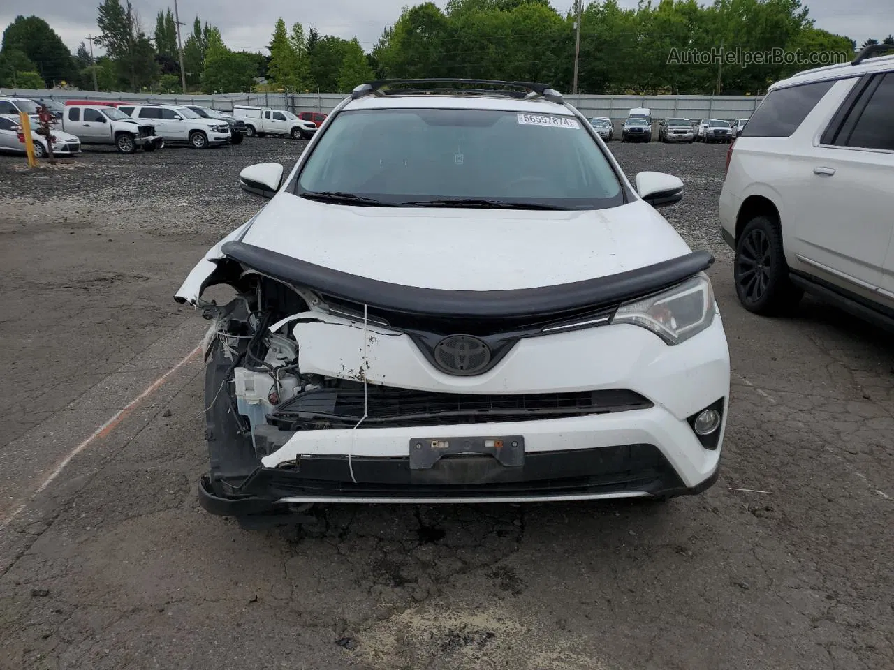 2016 Toyota Rav4 Xle White vin: 2T3WFREVXGW285121