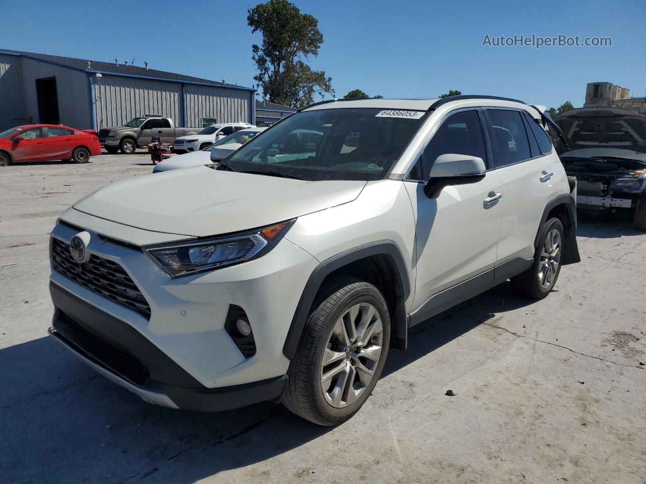 2019 Toyota Rav4 Limited Белый vin: 2T3Y1RFV4KC011395